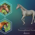 Thoroughbred Horse A\SELFIX Thoroughbred Horse model 3D print model