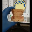 Screenshot_20250507_235231.jpg TOTAL REMOVABLE DENTURE upper + FLEXI PARTIAL DENTURE lower ( total 11 stl files)