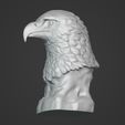 I8.jpg Eagle Bust - Original Design