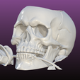 1.png Skull And Rose planter {sculpted