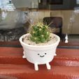 WhatsApp-Image-2021-11-08-at-09.14.32-2.jpeg cute pot succulent planter