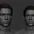 Screenshot_7.jpg Spiderman-Tom Holland Bust