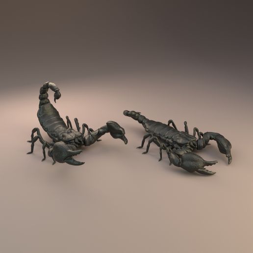 Emperor_scorpion_1.jpg Download file Emperor scorpion for 3D printing - pre supported • 3D print template, Nikola_Roglic