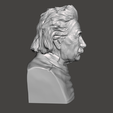 Albert-Einstein-8.png 3D Model of Albert Einstein - High-Quality STL File for 3D Printing (PERSONAL USE)