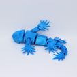 Blue-sea-dragon-upside-down.jpg Blue sea dragon articulated