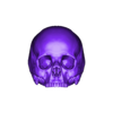 PETES_SKULL_with jaw STL_SubTool2.stl Pete's skull with seperate jaw