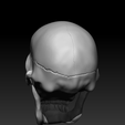 Capture03.png Detailed Human Skull,  PreSupported