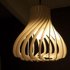 100_1551.jpg Pendant lamp (illusion lamp)