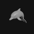 0106_Dolphin_0008.jpg Dolphin