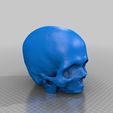 wfu_cbi_skull-clean.jpg Cleaned Skull