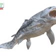 Dunkleosteus-pose-1-11.jpg Ancient Ocean Creature Dunkleosteus 3D sculpting printable model