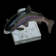 Rainbow-trout-trophy-17.png rainbow trout / Oncorhynchus mykiss fish in motion trophy statue detailed texture for 3d printing