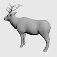4.jpg moose