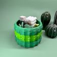 06.jpeg Stackable bowl “cactus”