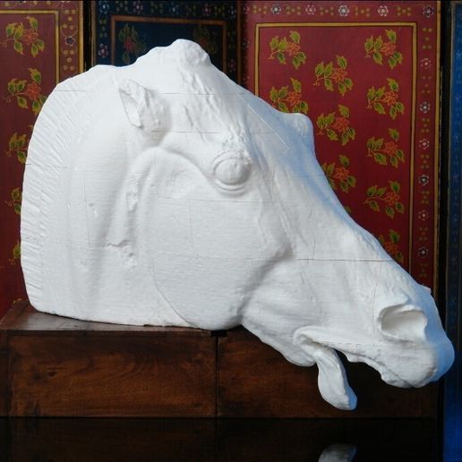 Horse_of_Selene_Progress_Print_display_large.jpg Head of a horse of Selene