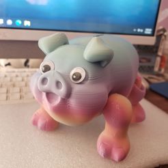 Flexi piggy bank