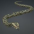 0a.jpg DOWNLOAD PYTHON 3d model - animated for blender-fbx-unity-maya-unreal-c4d-3ds max - 3D printing PYTHON SNAKE ANACONDA SNAKE ANACONDA VIPER SNAKE PYTHON COBRA PITON BASILIK BOA