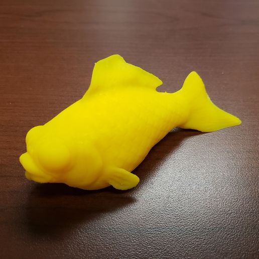 20190129_090040.jpg Free STL file ThatJoshGuy's Dead Goldfish・3D printable model to download, ThatJoshGuy
