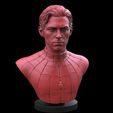 Screenshot_1.jpg Spiderman-Tom Holland Bust