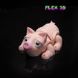 Piglet-Chunky-7.jpg Flex 3D Piglet Chunky