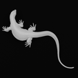 Pose13-min.png Asian Water Monitor - Realistic Lizard Reptile - Varanus Salvator