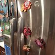20240229_073641.jpg Flexi Triceratops magnet - fidget toy - refrigerator magnet - print in place - articulated