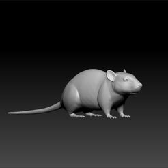 rat1.jpg Rat - Rat 3d model for 3d print - Rat game model