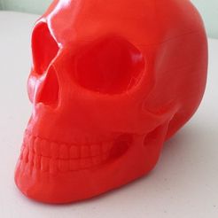 skull_display_large.jpg Fichier STL gratuit Crâne・Idée pour impression 3D à télécharger