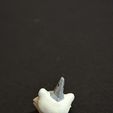 5.jpg Cat charm