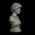 06.jpg Princess Diana 3D model ready to print