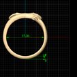 Measures.jpg Hands ring