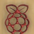 Raspberry.jpg Raspberry pi logo