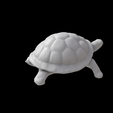 turtle-02.png Turtle
