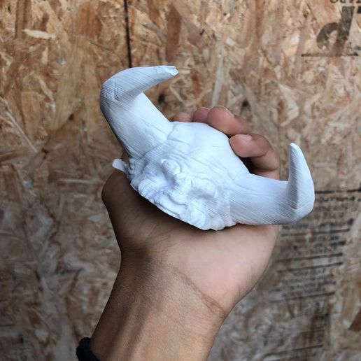 WhatsApp Image 2019-02-22 at 22.46.00 (1).jpeg Grinder Devil (Moledora Diablo)