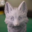 fox_articulated_nyxprints_9.jpg Articulated Fox Pup