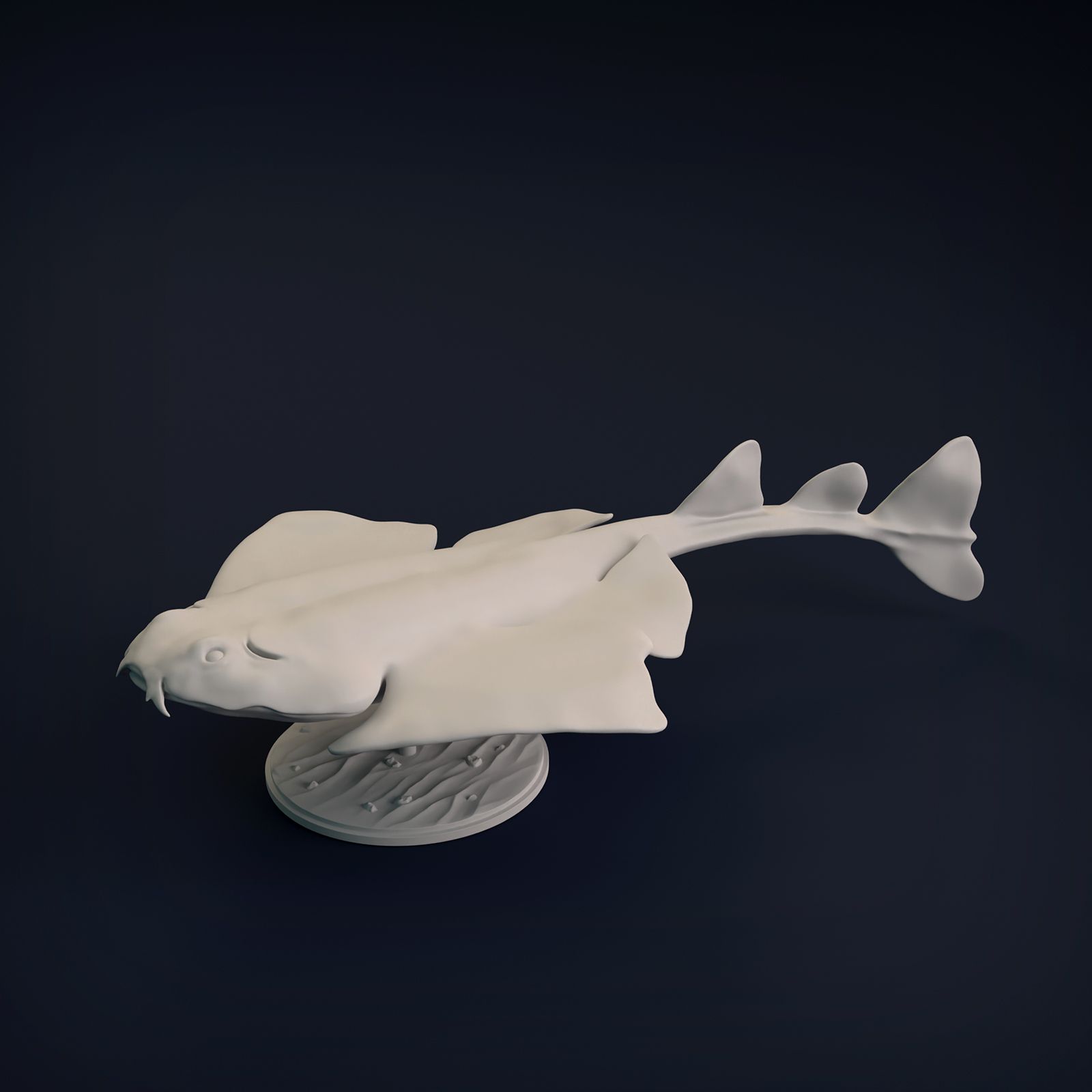 Angel_shark_10.jpg -Datei Engelshai herunterladen • Objekt zum 3D-Drucken, mayapantic
