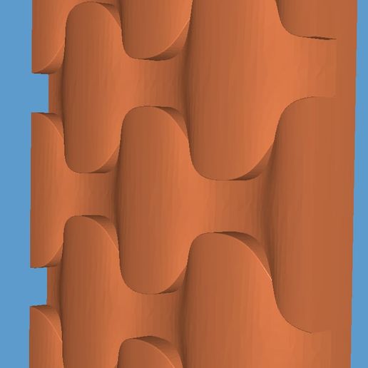 WhatsApp-Image-2023-01-22-at-10.24.51-PM.jpeg Cheshuya