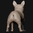 18.jpg French Bulldog model 3D print model