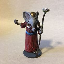 Photo Jan 08, 9 07 54 AM.jpg STL file Elephant Wizard・3D printable model to download