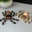 IMG_3753.jpg Flexi Spider (Articulated)