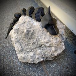 IMG-20210616-WA0000.jpg STL file Flexible Pokemon - print in place ONYX・3D print model to download