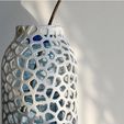 e00f272db85185b5a7a03b37009f701a_preview_featured.jpg Voronoi PET Vase Bouteille