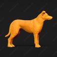 4094-Collie_Smooth_Pose_02.jpg Collie Smooth Dog 3D Print Model Pose 02