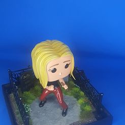 20230309_160432.jpg pop buffy