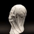 EJB16262.jpg Draped Skull Bust (Pre Supported)