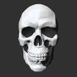 1.jpg Skull Anatomy  3D print model