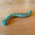 IMG_20220509_202600.jpg Realistic articulated caterpillar - Print in Place