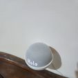 20230918_202307.jpg Поддержка ALEXA ECHO DOT GEN 4 & 5