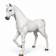 b419d0e7-63e9-411c-9c05-e58628ae6a01.png Arabian Horse