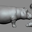 002.jpg Hippo